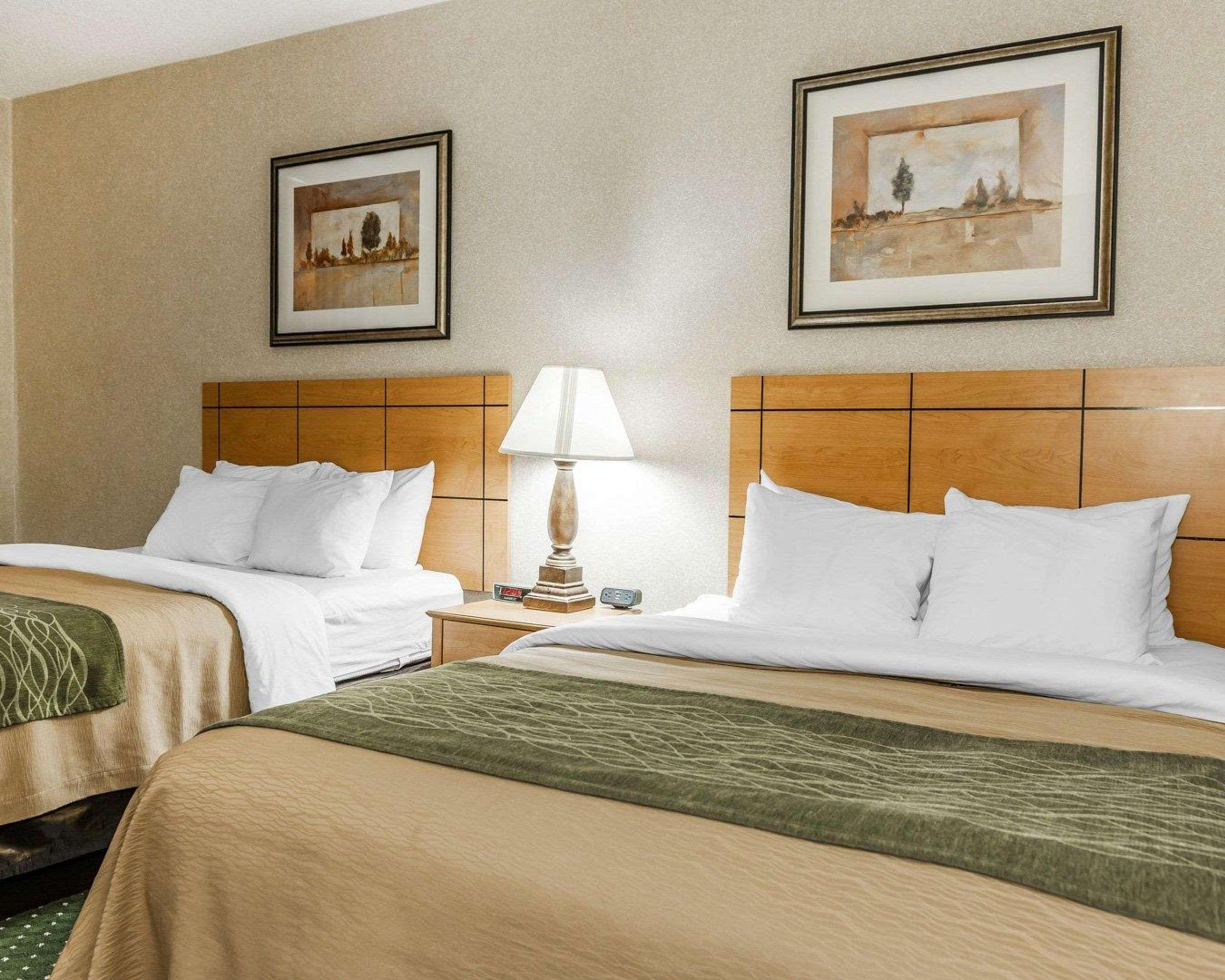 Comfort Inn Near Kokomo Speedway Zewnętrze zdjęcie